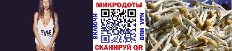 Псилоцибиновые грибы MAGIC MUSHROOMS  Макарьев 